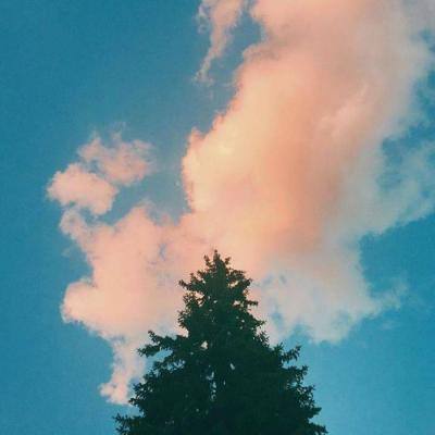 极速赛车游戏app下载