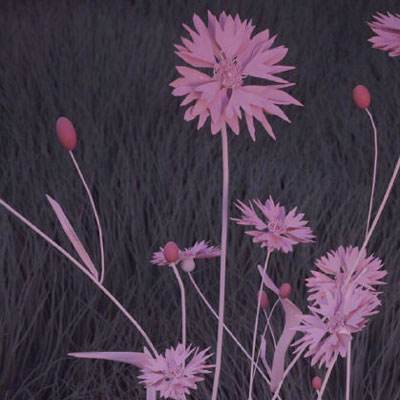 Kaiyun·体育(全站)