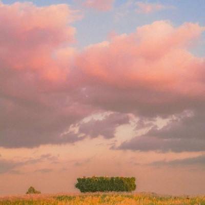 上下分的捕鱼app截图