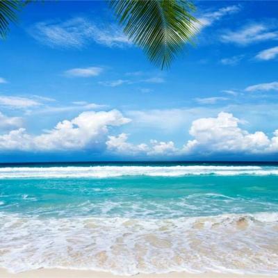 天博国际电子游戏app