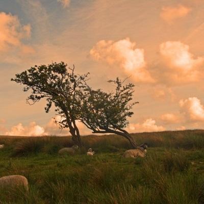 乐宝体育官网登录入口手机app下载