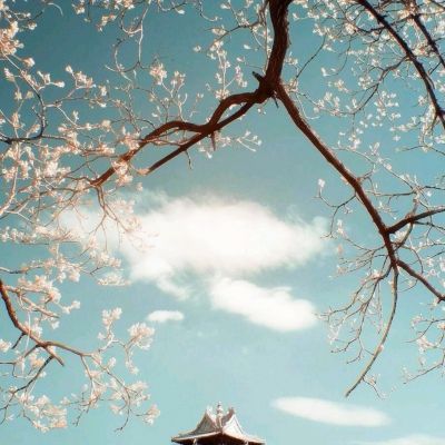 加拿大试玩软件