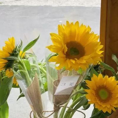 BOB半岛·体育官方平台